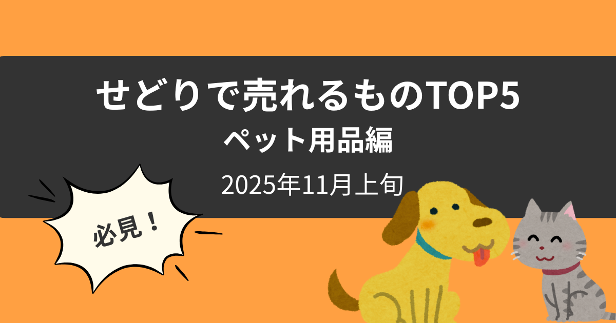 rankingtop5_20251108